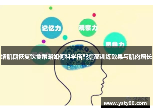 增肌期恢复饮食策略如何科学搭配提高训练效果与肌肉增长